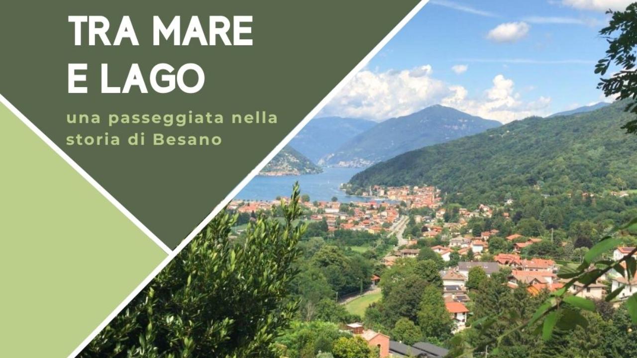 Le meraviglie del Museo dei Fossili di Besano e del Monte San Giorgio: prima visita guidata il 26 agosto