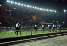 Ippodromo Le Bettole – Il Masaf premia Varese Turf & Sport per l’organizzazione delle corse