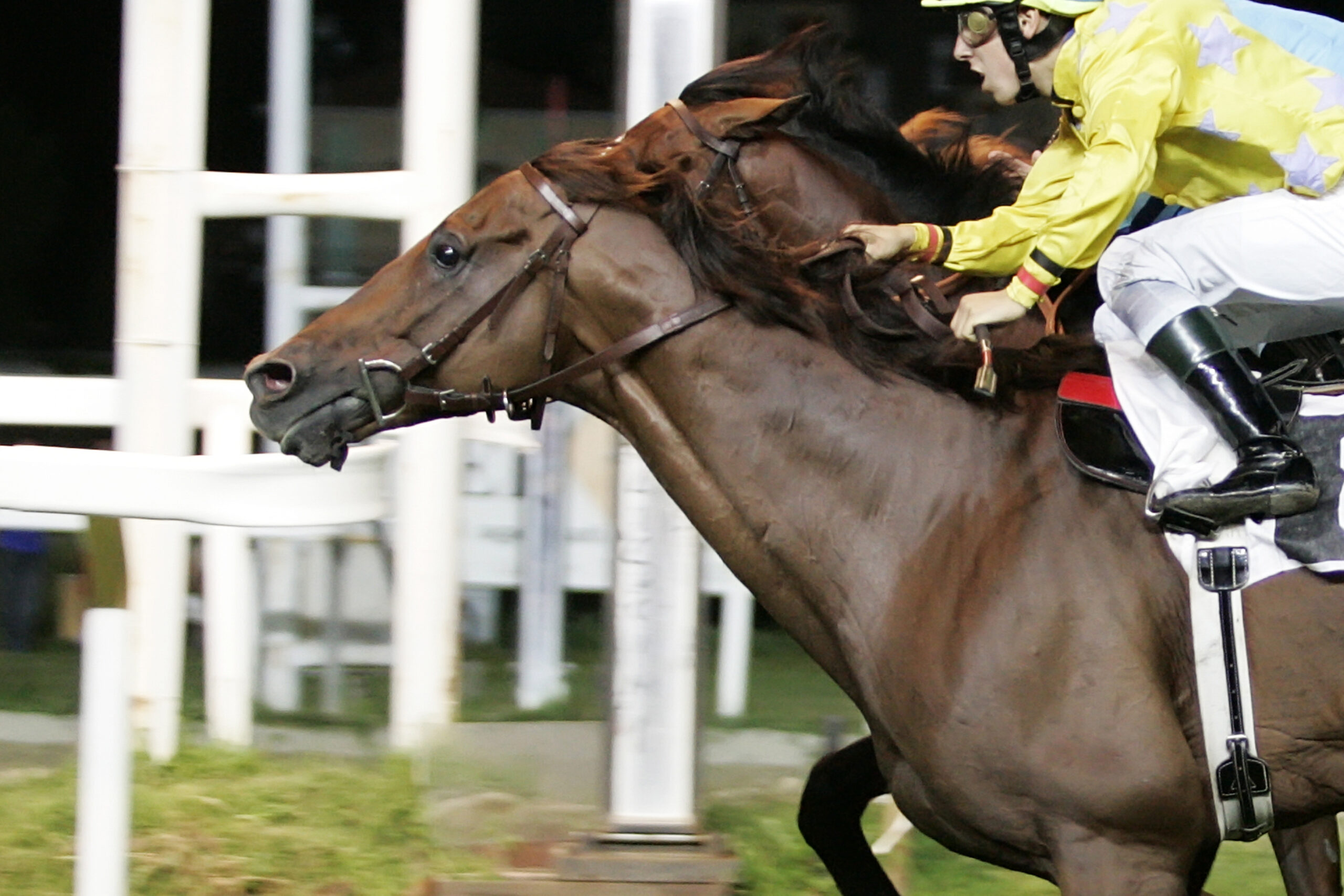 Alle Bettole va in scena il Criterium: grande spettacolo per la più antica corsa di Varese