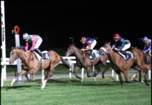 Ippodromo, già esclusa un’offerta. L’altra resta in corsa, la Commissione chiede un’integrazione