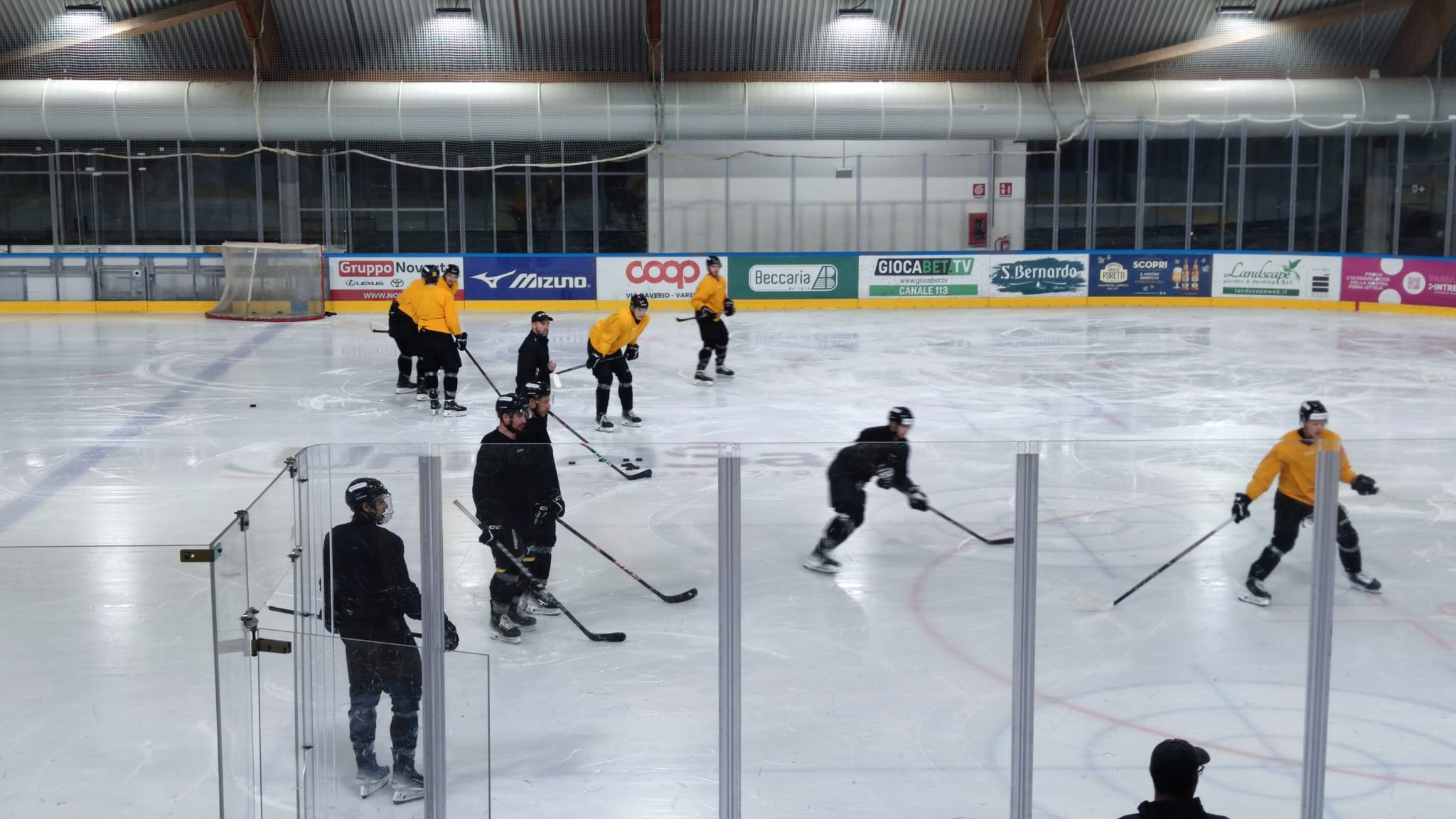 I Mastini ritrovano il ghiaccio e… Raimondi. Iniziata la settimana più importante