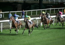 Il Gran Premio Città di Varese chiude la stagione estiva di corse alle Bettole