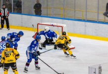 I Mastini volano, i Falcons pure: a Canazei i gialloneri devono alzare il livello