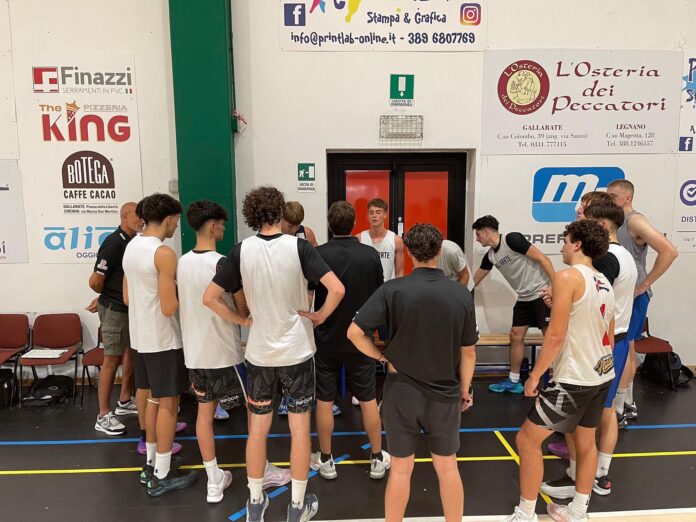 basket casorate