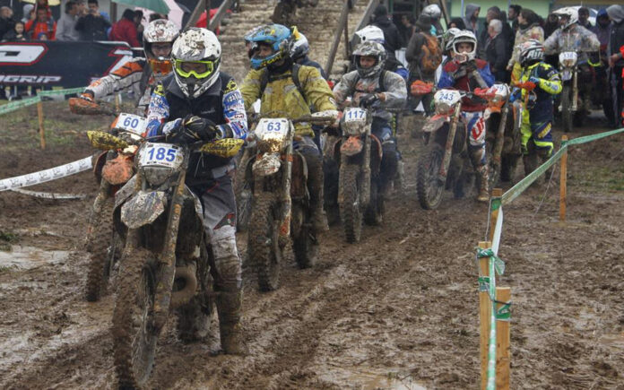 GreenPistons_story10