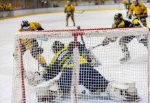 Mastini a Pergine in cerca di conferme: “mal di trasferta” ancora da curare… con un occhio alla classifica