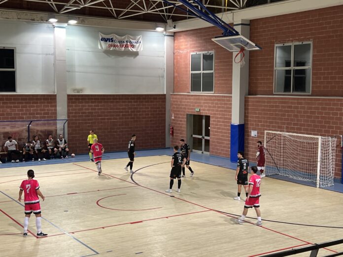 MLA - Futsal Varese