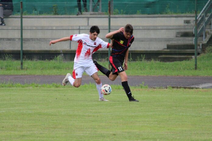 Thomas Monolo Cassano