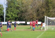 Comincia la danza playoff: Azzurra Mozzate e Ternatese pronte a far valere il fattore campo su Casport e Golasecca