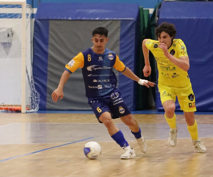 Real Sesto - Altovicentino