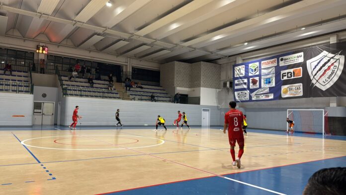 Leo Biassono - Futsal Varese
