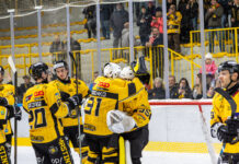 Mastini da favola: Fassa ko 2-5