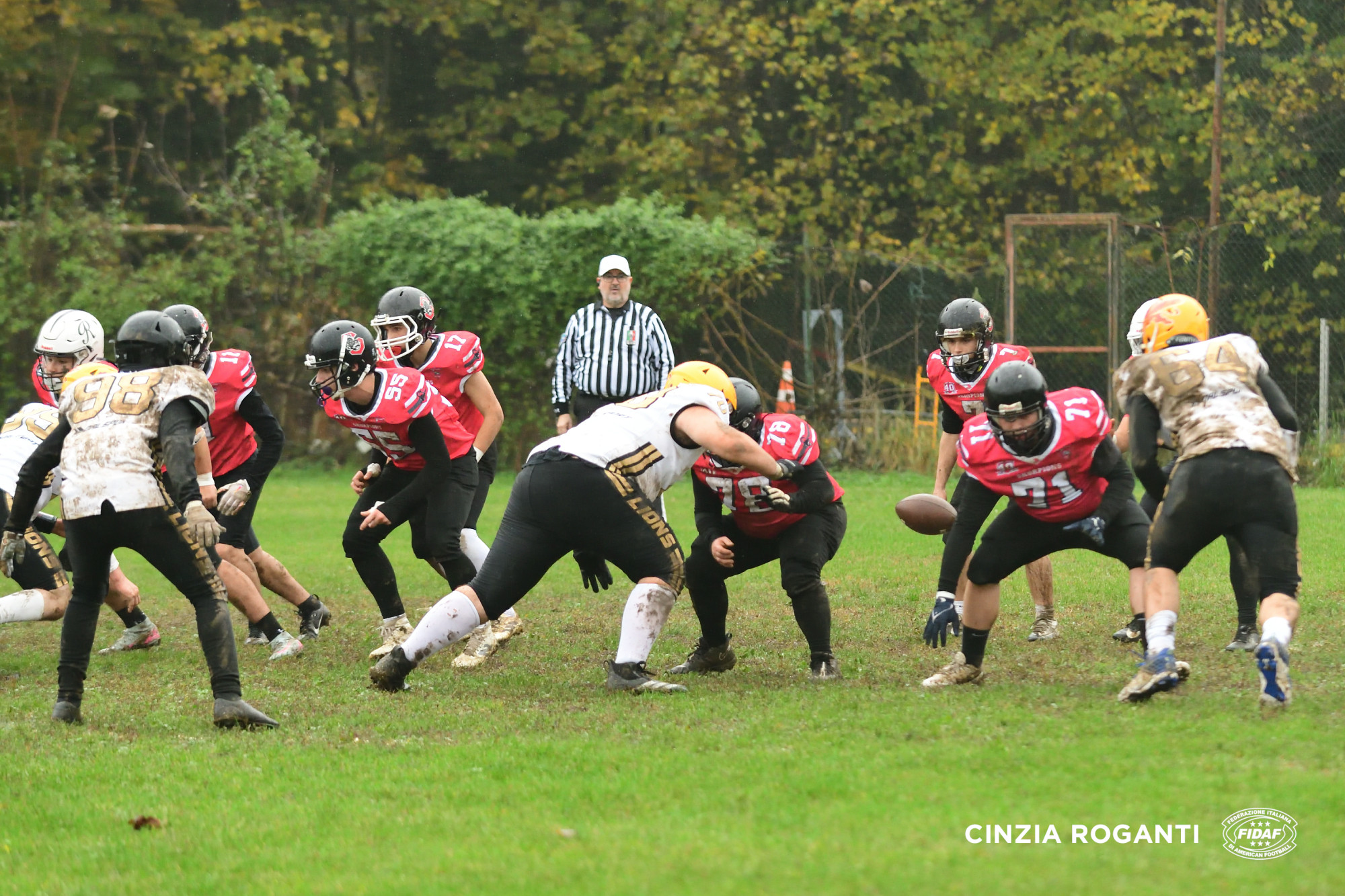 Derby time per gli Skorpions: sotto con i Seamen Milano. Blue Storms al muro Ferrara, Blue Stars con i Blitz