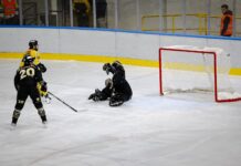 Varese – Aosta: 1-0 al 24′. Vantaggio di Bastille in inferiorità