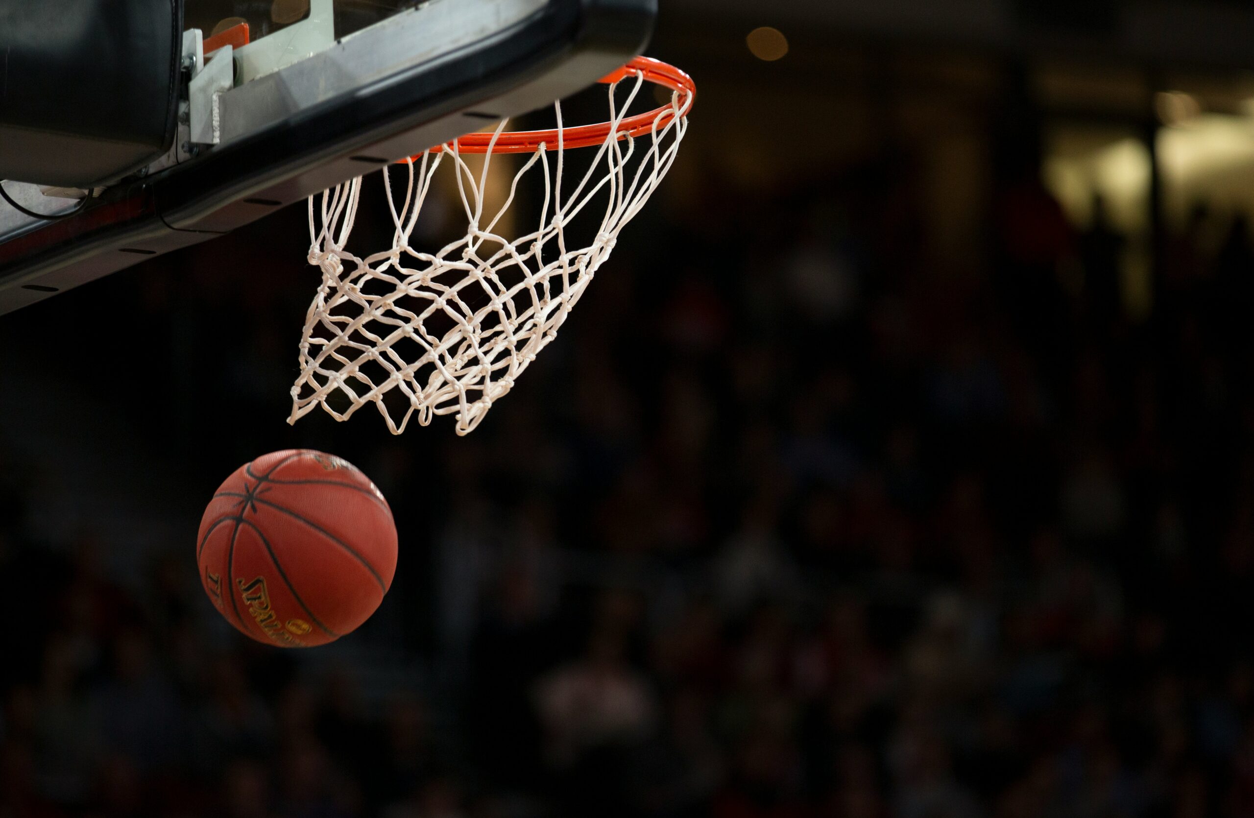 Basket Serie A: Varese tra coraggio e talento, stagione da non sottovalutare
