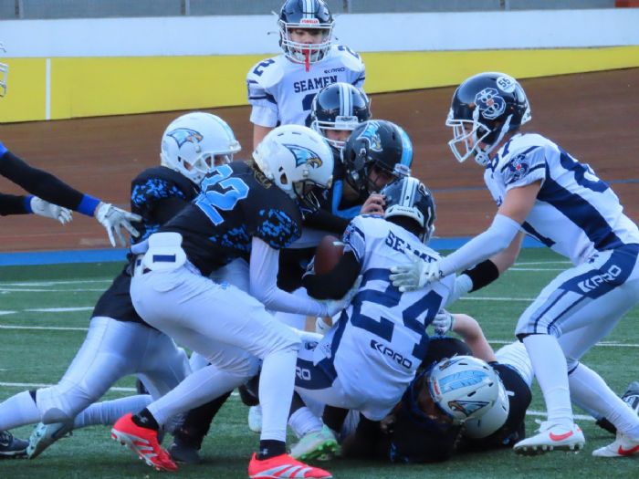 Playoff – I Blue Stars affronteranno i Seamen Milano. In U18, i Panthers sfatano il fattore casalingo