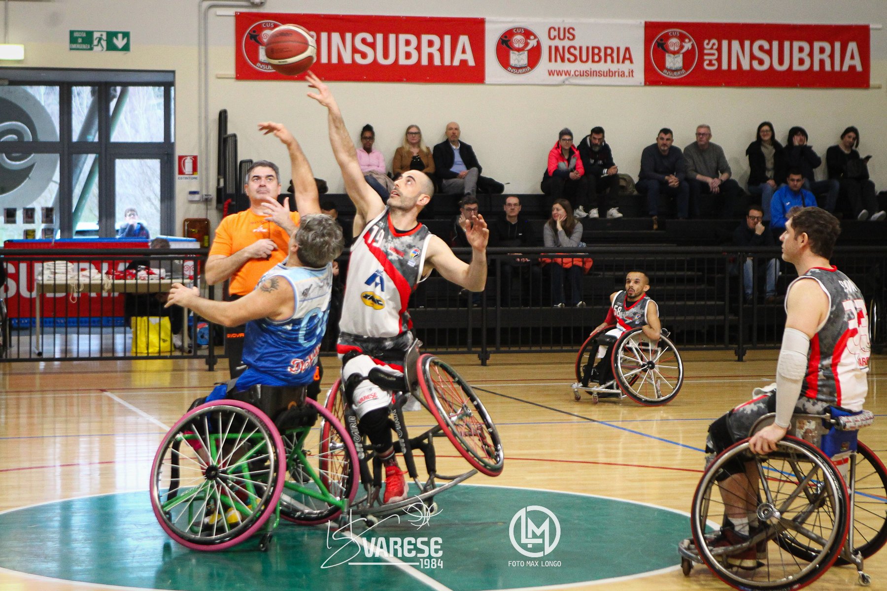 Dominio AMCA! La squadra di Varese rispetta il pronostico e supera facilmente i Delfini 2001 di Vicenza 85-14