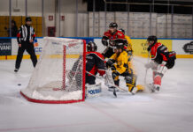 Mastini, ecco il calendario IHL: debutto in casa con Appiano, Aosta il 29 ottobre. A novembre la Coppa Italia
