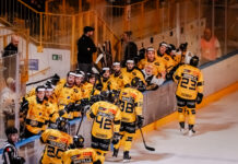 Mastini al lavoro per il progetto 2026/27: coach e portiere gli obiettivi primari