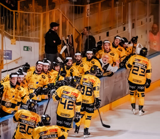 Mastini al lavoro per il progetto 2026/27: coach e portiere gli obiettivi primari