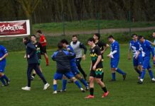 Finestra sul Girone R – Volata finale per il sogno playoff dell’Amor Sportiva. Incubo playout per le altre varesotte