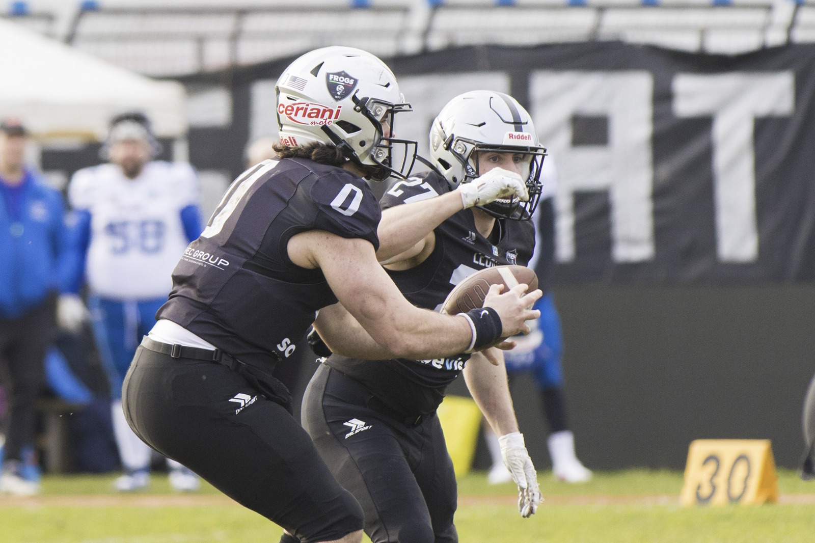 IFL tra conferme e risposte: test chiave per i Guelfi, i Dolphins sfidano Parma. Frogs a Roma, Guarneri: “Diamo continuità”