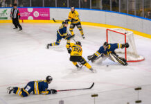 Amichevoli IHL: il Fassa intriga, Aosta, Appiano e Val Pusteria Junior pronte al debutto. Weekend da Mastini
