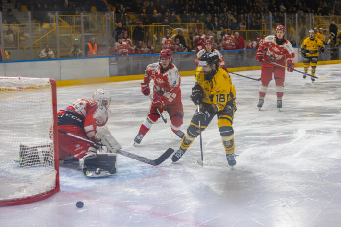 Varese-Alleghe 4-2 (15)