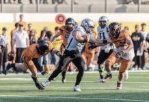 IFL – Frogs Legnano travolgenti nel derby: Rhinos ko 36-0! Guelfi inarrestabili