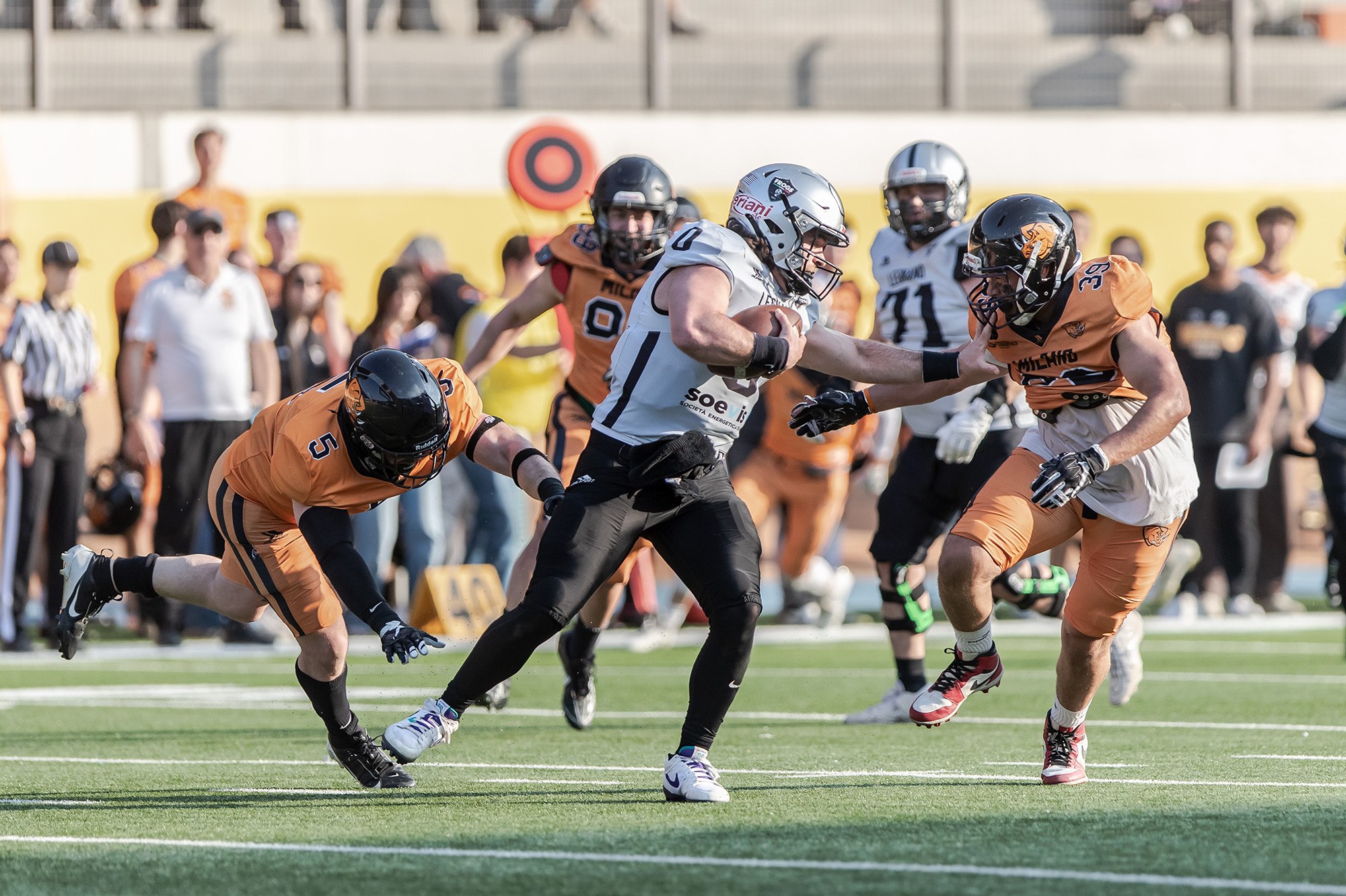 IFL – Frogs Legnano travolgenti nel derby: Rhinos ko 36-0! Guelfi inarrestabili