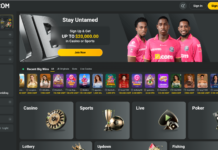 Most Popular Crypto Casino Games Gamblers Can’t Miss in 2026