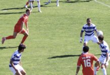 Signori si nasce: 13 club di Serie D hanno fatto la Serie A. Triestina prima per tradizione sportiva, Pro Patria 7^, Varese 10°