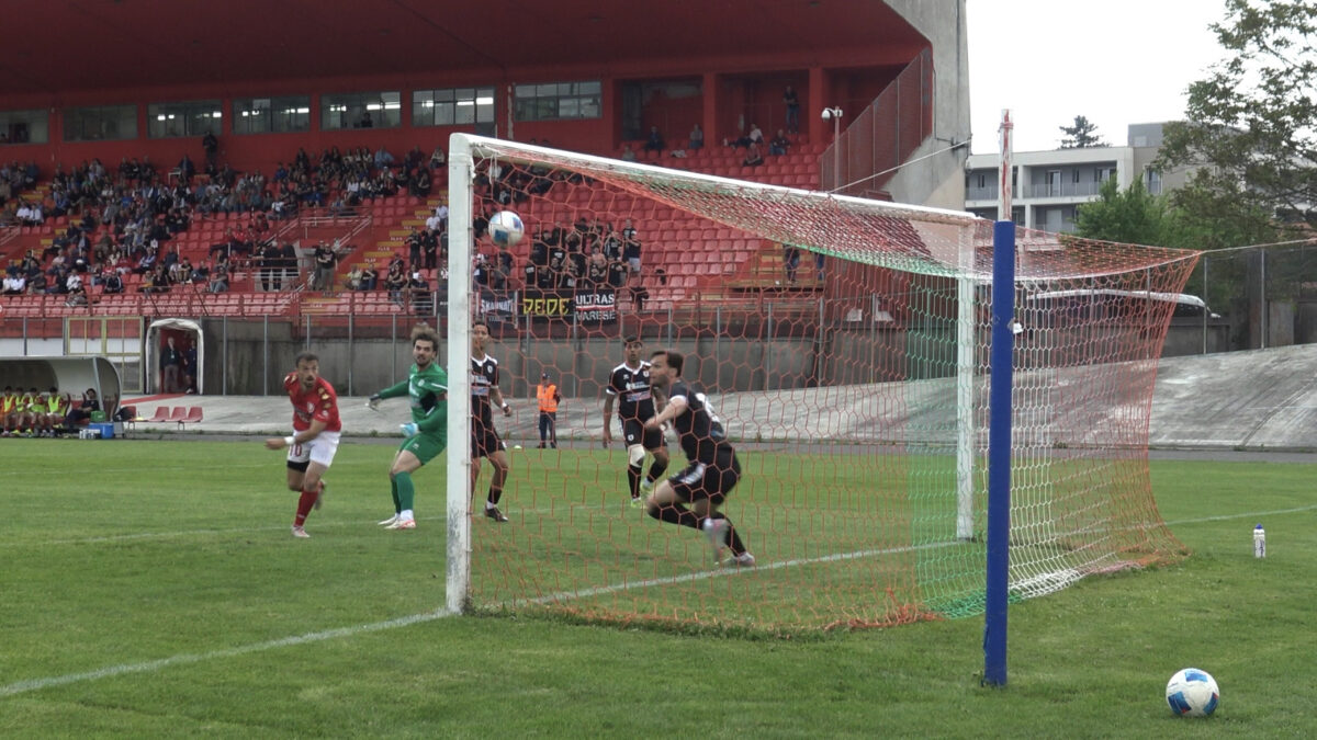 Le pagelle – Bugli e Tentoni guidano il Varese al successo sul Derthona