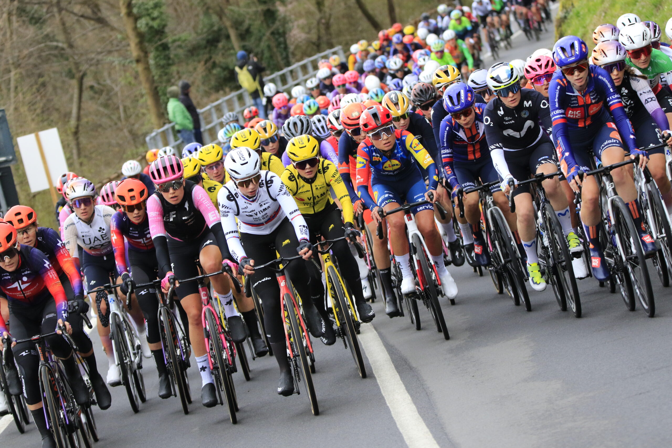 trofeo binda