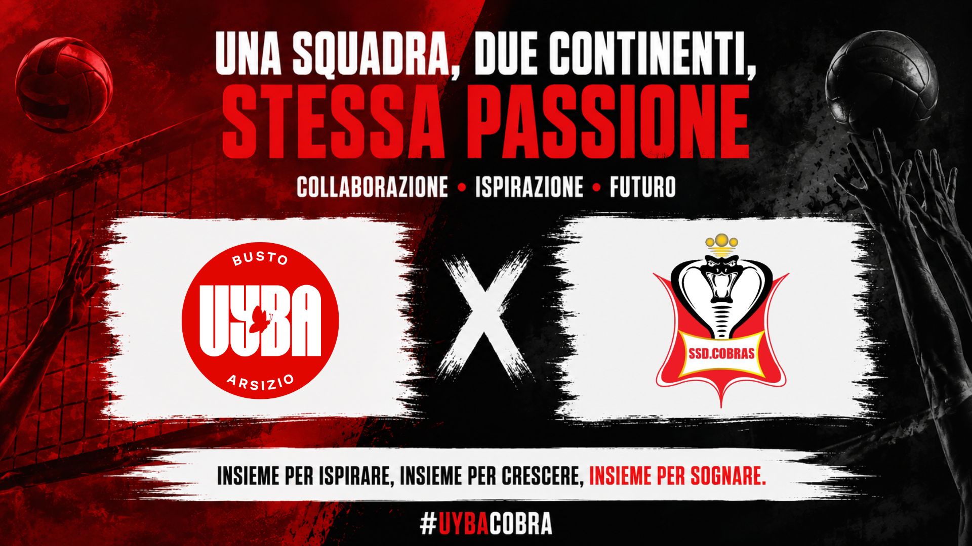 UYBA Volley e Cobra Team: una partnership che parla di sport, crescita e sogni