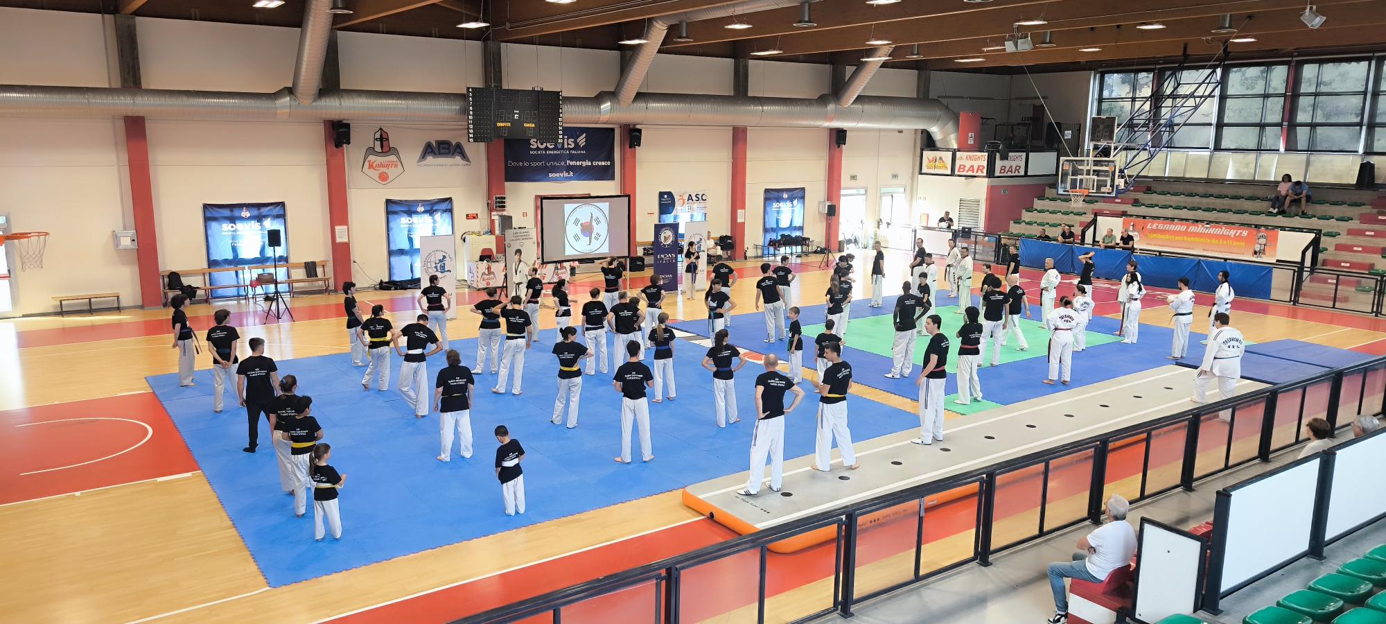 Evento internazionale a Legnano stelle mondiali delle arti marziali e del K-Pop al PalaParma nel segno di Valerio Spinosa (5)