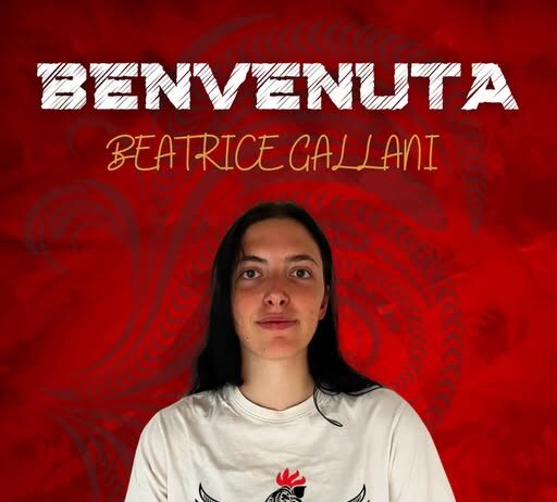 Altri due colpi per il Basket Femminile Gallarate che aggiunge Gallani e Buzzi
