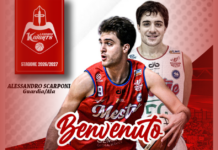 Knights Legnano, colpo sugli esterni. Ufficiale Alessandro Scarponi: “Entusiasmo e voglia di fare bene”