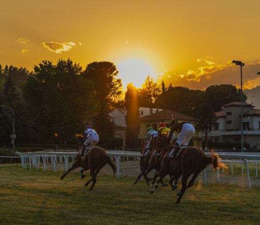 Varese Park Racecourse, martedì sera si corre: sette prove e il grande appuntamento con il Premio Guido Ermolli