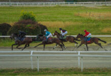 Varese torna a correre: l’Ippodromo Le Bettole riapre i cancelli, il 21 luglio inizia la nuova era dell’ippica. 51.520€ in palio