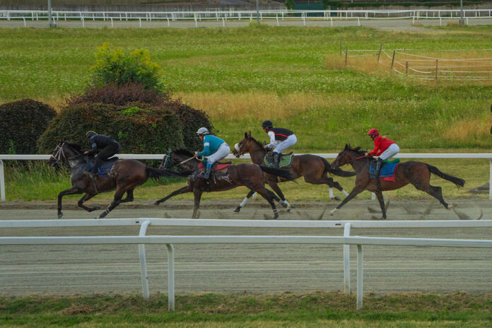 Riapertura Ippodromo Le Bettole di Varese (Varese Turf & Sport) (6)