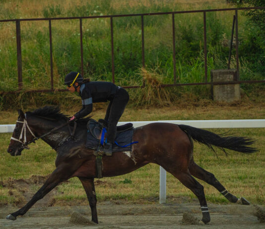 Varese Park Racecourse, martedì sera il secondo appuntamento della stagione: ingresso gratuito e sei corse in programma