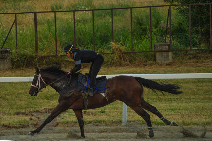 Riapertura Ippodromo Le Bettole di Varese (Varese Turf & Sport) (7)
