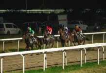 Varese Park Racecourse, torna lo spettacolo alle Bettole: mercoledì la quarta riunione stagionale, 50.100€ in palio