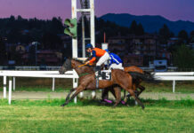 Trionfi e Emozioni al Varese Park Racecourse per la quinta giornata.