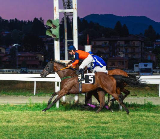 Trionfi e Emozioni al Varese Park Racecourse per la quinta giornata.