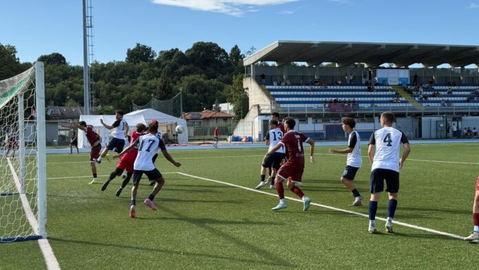 Gallarate-Vergiatese