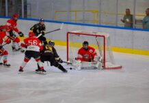 Buona la prima per i Mastini che battono Valpellice per 6-4
