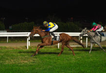 Gare combattute e spettacolo all’Ippodromo Varese Park Racecourse