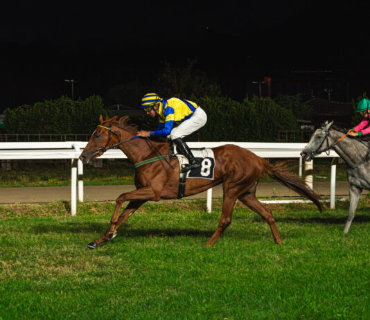 Gare combattute e spettacolo all’Ippodromo Varese Park Racecourse